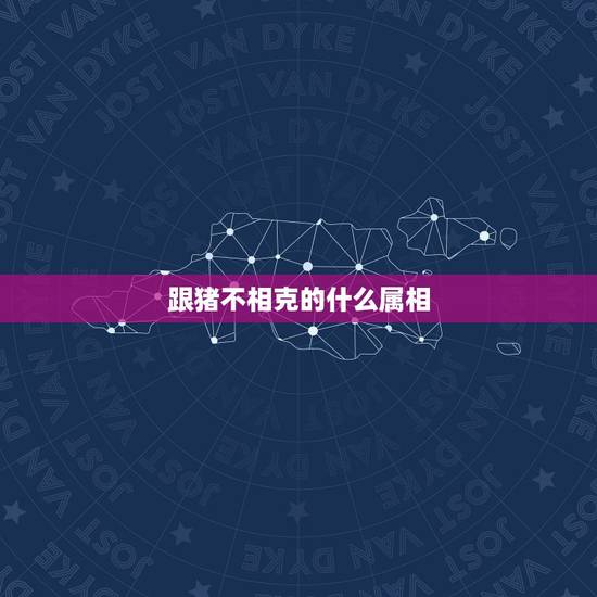 跟猪不相克的什么属相，属猪和什么属相相克 详细