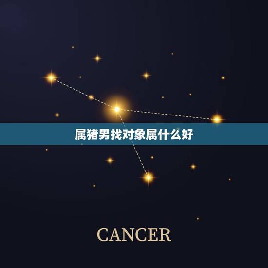 属猪男找对象属什么好,属猪男和属啥的婚姻好 属猪男找对象属什么好,属猪男和属啥的婚姻好