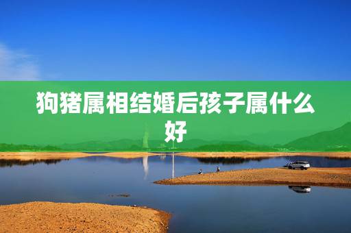 狗猪属相结婚后孩子属什么好,2010属相猪和狗的结婚吉日(万分感谢) 狗猪属相结婚后孩子属什么好,2010属相猪和狗的结婚吉日(万分感谢)