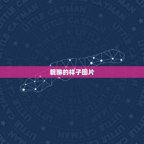 貔貅的样子图片，貔貅是什么样子的