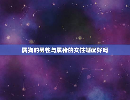 属狗的男性与属猪的女性婚配好吗,男属狗和女属猪的配吗 属狗的男性与属猪的女性婚配好吗,男属狗和女属猪的配吗
