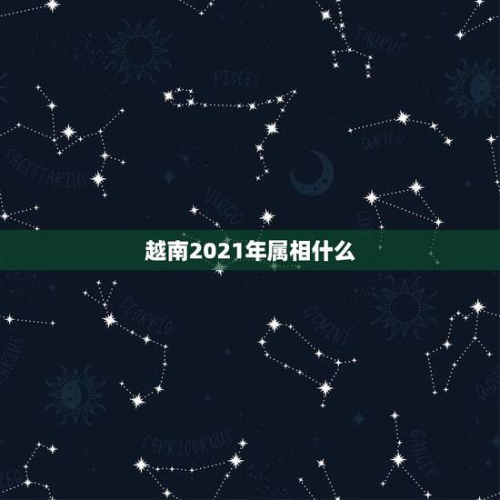 越南2021年属相什么，2021年属什么生肖？