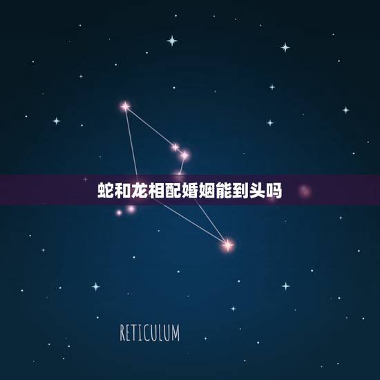蛇和龙相配婚姻能到头吗,蛇和蛇相配婚姻如何 蛇和龙相配婚姻能到头吗,蛇和蛇相配婚姻如何