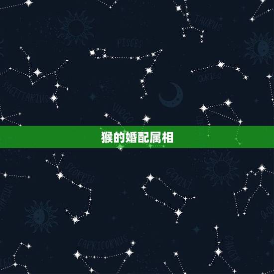 猴的婚配属相，属猴的和什么属相最配