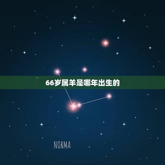 66岁属羊是哪年出生的,67年属什么生肖今年多少岁 66岁属羊是哪年出生的,67年属什么生肖今年多少岁
