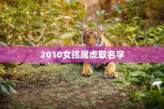 2010女孩属虎取名字(如何为你的小公主取一个吉祥美丽的名字) 2010女孩属虎取名字(如何为你的小公主取一个吉祥美丽的名字)