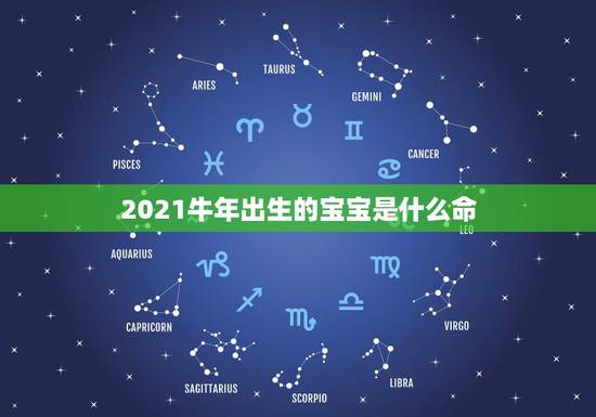 2021牛年出生的宝宝是什么命，2021年是什么牛五行属什么