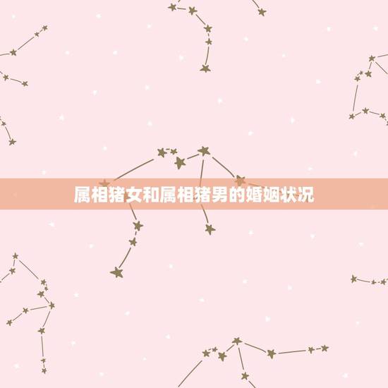 属相猪女和属相猪男的婚姻状况，95年男属猪和95年女属猪今年8月结婚哪