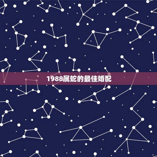 1988属蛇的最佳婚配,属蛇和什么属相最配 属蛇的最佳配偶 1988属蛇的最佳婚配,属蛇和什么属相最配 属蛇的最佳配偶