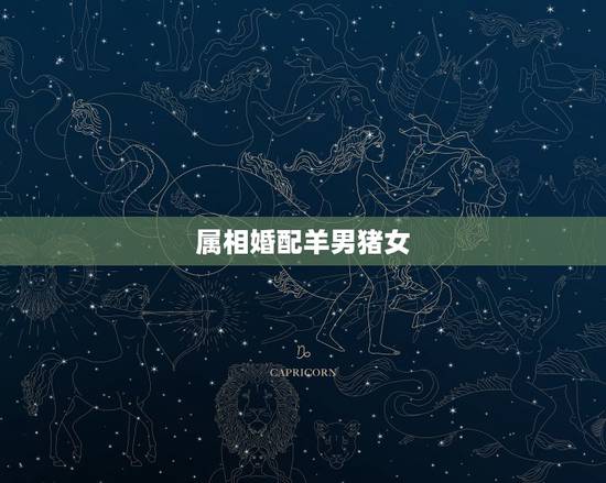 属相婚配羊男猪女,属猪的属相婚配表 生肖猪和生肖羊合适吗 属相婚配羊男猪女,属猪的属相婚配表 生肖猪和生肖羊合适吗