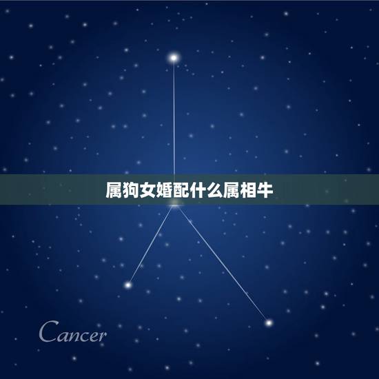 属狗女婚配什么属相牛，属狗的女性跟什么属相婚配最好？