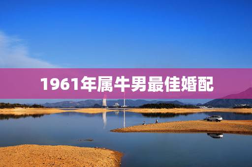 1961年属牛男最佳婚配,男属牛的属相婚配表 1961年属牛男最佳婚配,男属牛的属相婚配表