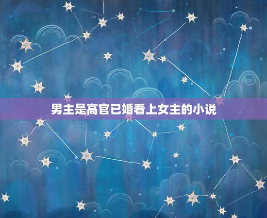 男主是高官已婚看上女主的小说，男主是高官，女主是男主的情人，男主很爱女