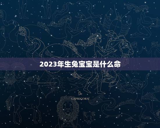 2023年生兔宝宝是什么命,2023年属兔的是什么命 2023年生兔宝宝是什么命,2023年属兔的是什么命
