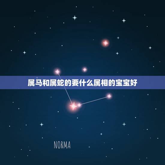 属马和属蛇的要什么属相的宝宝好,属马属蛇夫妻要什么属相孩子好 属马和属蛇的要什么属相的宝宝好,属马属蛇夫妻要什么属相孩子好