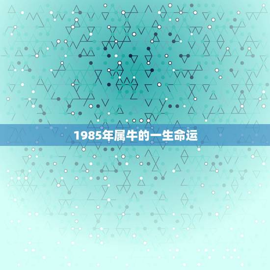 1985年属牛的一生命运 1985在2022年感情婚姻 1985年属牛的一生命运 1985在2022年感情婚姻