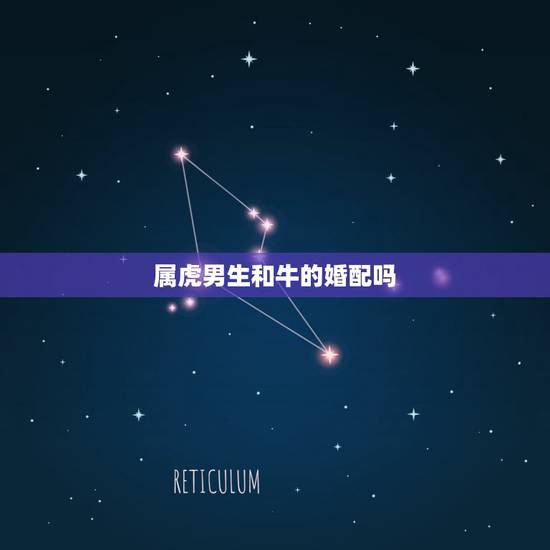 属虎男生和牛的婚配吗,男属虎女属牛相配吗 属虎男生和牛的婚配吗,男属虎女属牛相配吗
