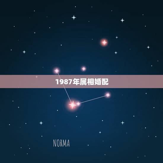 1987年属相婚配，87年属兔男的和什么属相最配
