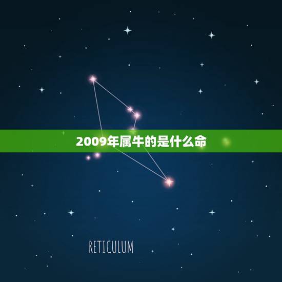 2009年属牛的是什么命，2009年四月属牛是什么命