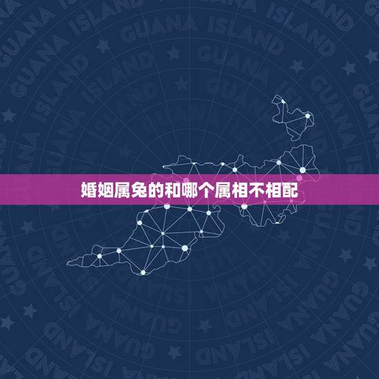 婚姻属兔的和哪个属相不相配，1992属猴的属相婚配表