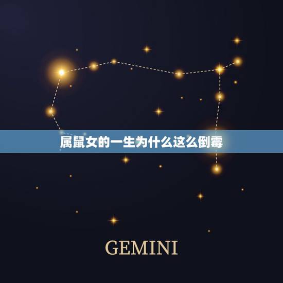 属鼠女的一生为什么这么倒霉,属鼠女的情商高的可怕 属鼠女的一生为什么这么倒霉,属鼠女的情商高的可怕