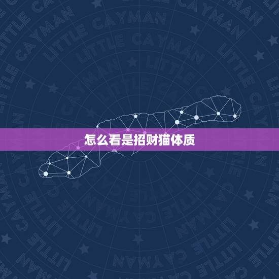 怎么看是招财猫体质，日语达人~~帮忙看看招财猫身上这两个字是什么意思。