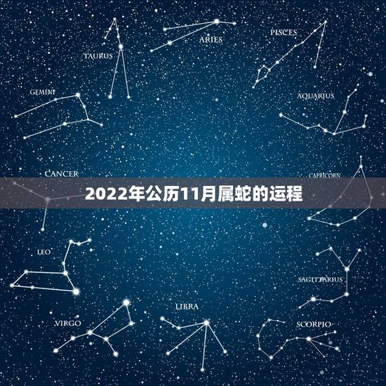 2022年公历11月属蛇的运程,77年属蛇男2022 年每月运势 2022年公历11月属蛇的运程,77年属蛇男2022 年每月运势