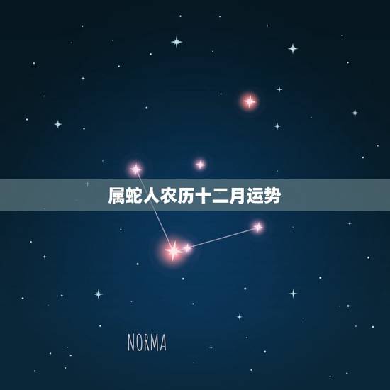 属蛇人农历十二月运势,属马人农历六月运势 属蛇人农历十二月运势,属马人农历六月运势