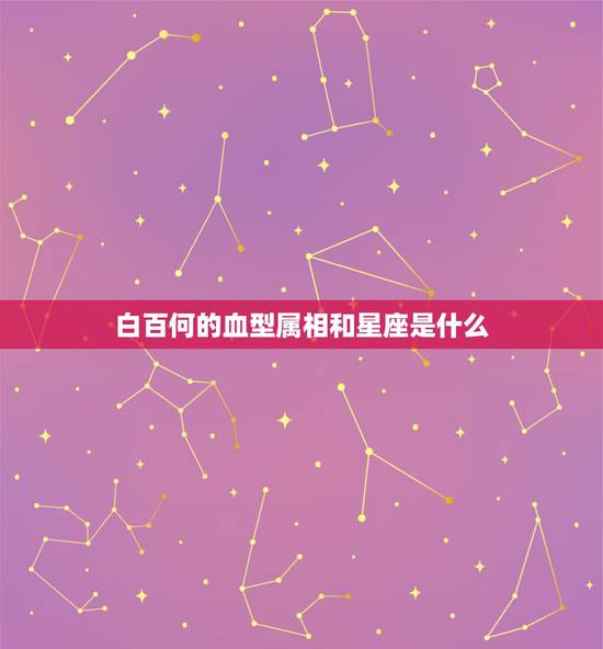白百何的血型属相和星座是什么，血型与星座