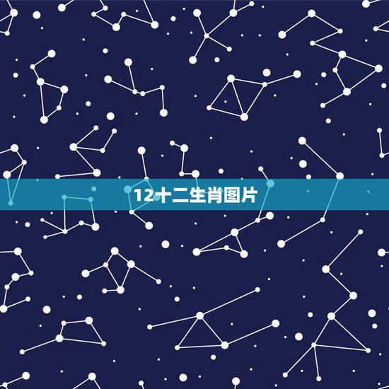 12十二生肖图片，十二生肖婚姻更佳配偶属相