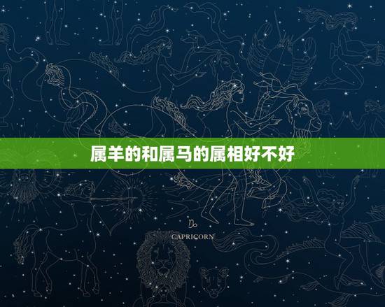 属羊的和属马的属相好不好,属马跟属羊的会离婚吗 属羊的和属马的属相好不好,属马跟属羊的会离婚吗