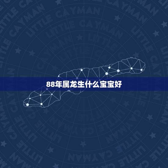 88年属龙生什么宝宝好，88年龙生什么宝宝好