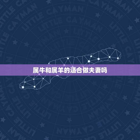 属牛和属羊的适合做夫妻吗，1997丑牛和2083未羊夫妻