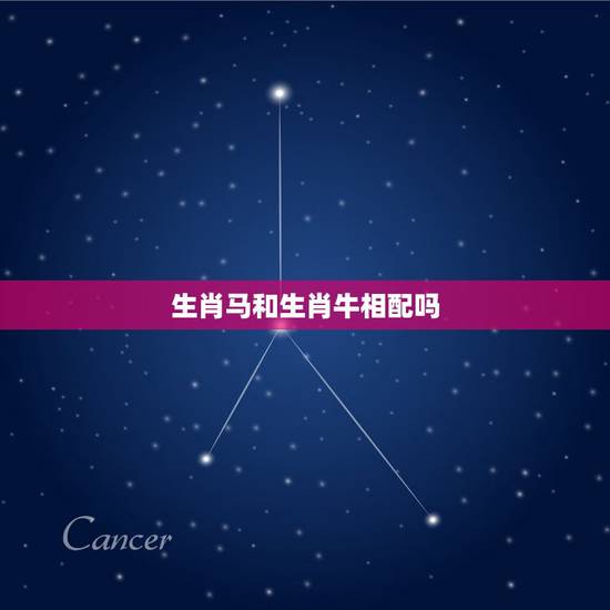 生肖马和生肖牛相配吗，属牛跟属马合吗？