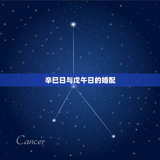 辛巳日与戊午日的婚配,我和女朋友都属鸡,想选在2007年初领证,不知道 辛巳日与戊午日的婚配,我和女朋友都属鸡,想选在2007年初领证,不知道