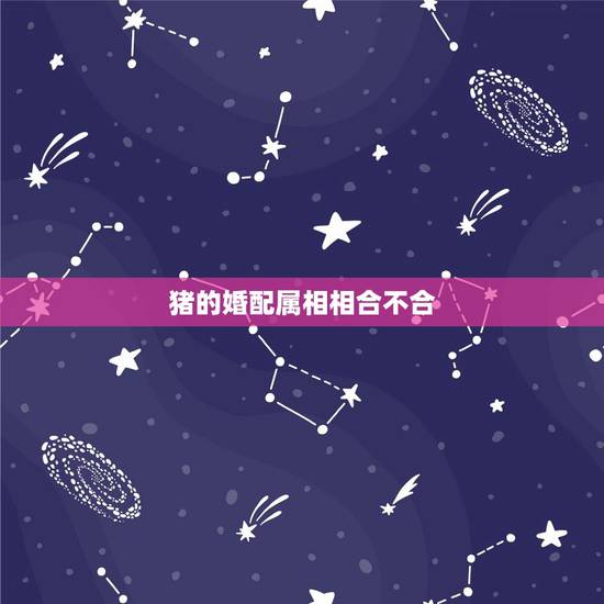 猪的婚配属相相合不合,属猪的跟什么属相相配好,跟什么属相不相配? 猪的婚配属相相合不合,属猪的跟什么属相相配好,跟什么属相不相配?