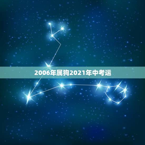 2006年属狗2021年中考运,属狗2021年运势及运程每月运程 2006年属狗2021年中考运,属狗2021年运势及运程每月运程