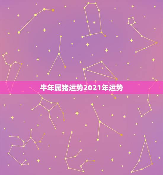 牛年属猪运势2021年运势，2021年运势属猪运势