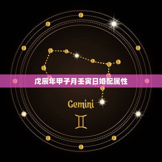 戊辰年甲子月壬寅日婚配属性，我是农历1988年12月13日出生的帮我看