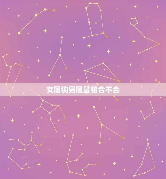 女属狗男属鼠相合不合,属蛇男人和属狗女好不好 女属狗男属鼠相合不合,属蛇男人和属狗女好不好