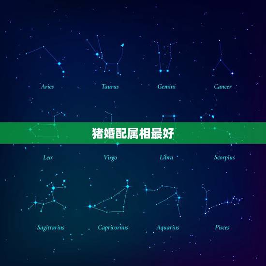 猪婚配属相最好，十二生肖属猪配什么属相好