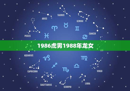 1986虎男1988年龙女,88龙86虎 1986虎男1988年龙女,88龙86虎