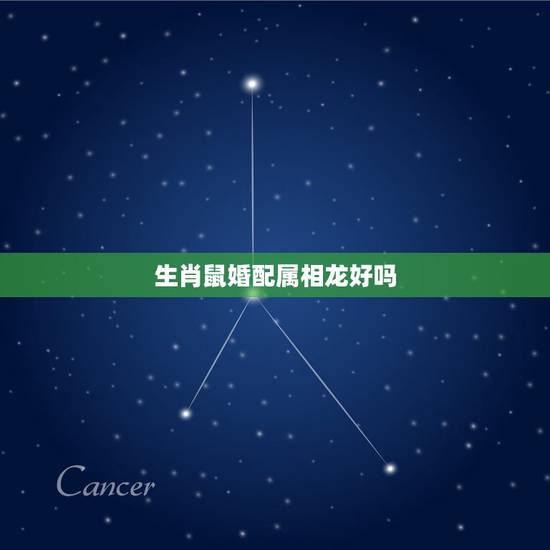 生肖鼠婚配属相龙好吗，属相婚配：男属龙和女属鼠相配吗