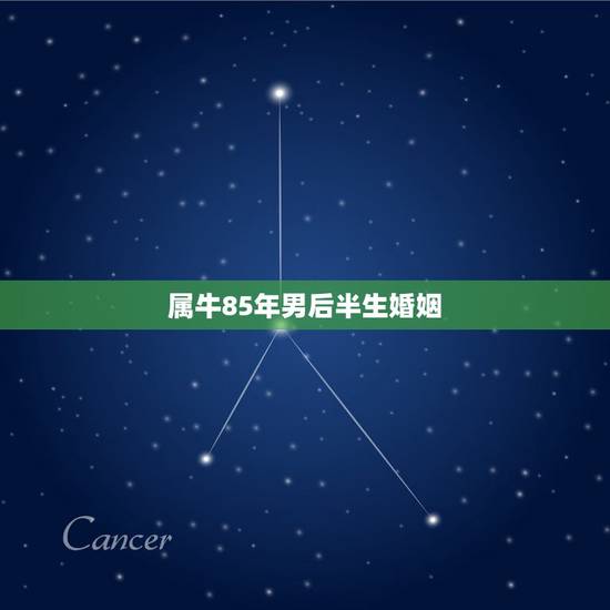 属牛85年男后半生婚姻 85属牛人的婚姻怎么样 属牛85年男后半生婚姻 85属牛人的婚姻怎么样