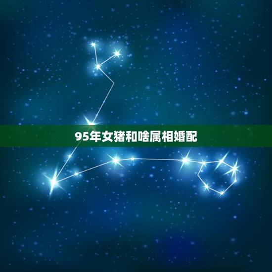 95年女猪和啥属相婚配,请问95年生肖属猪的和什么属相配对比较好? 95年女猪和啥属相婚配,请问95年生肖属猪的和什么属相配对比较好?
