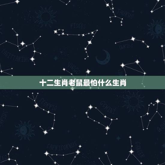 十二生肖老鼠最怕什么生肖，十二生肖中老鼠怕什么