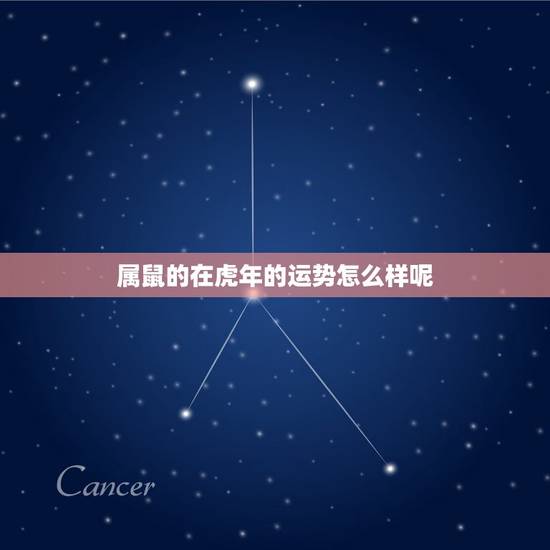 属鼠的在虎年的运势怎么样呢,鼠年在虎年的运势 属鼠的在虎年的运势怎么样呢,鼠年在虎年的运势