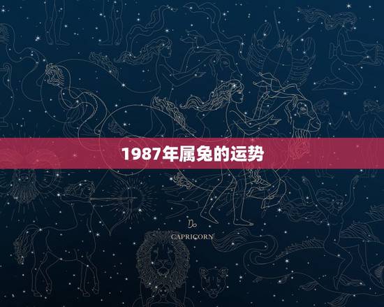 1987年属兔的运势,属兔人2009运程 1987年农历4月19的综合 1987年属兔的运势,属兔人2009运程 1987年农历4月19的综合