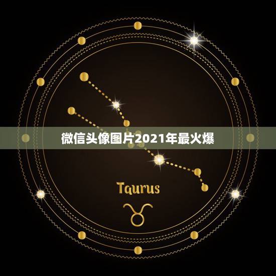 微信头像图片2021年最火爆，2023年什么微信头像好看？