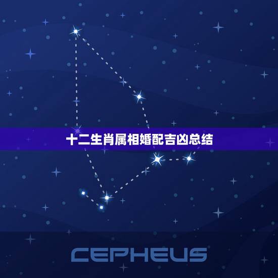 十二生肖属相婚配吉凶总结,23岁属相婚配 十二生肖属相婚配吉凶总结,23岁属相婚配